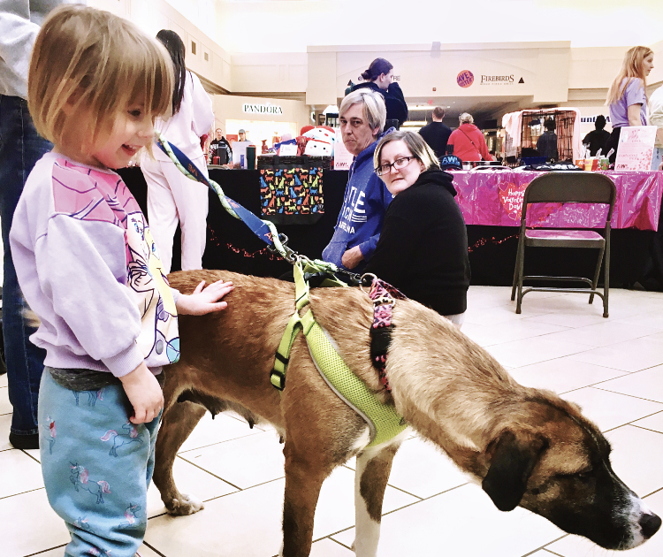 Pets: ‘Be Mine’ at Valentine’s adoption events